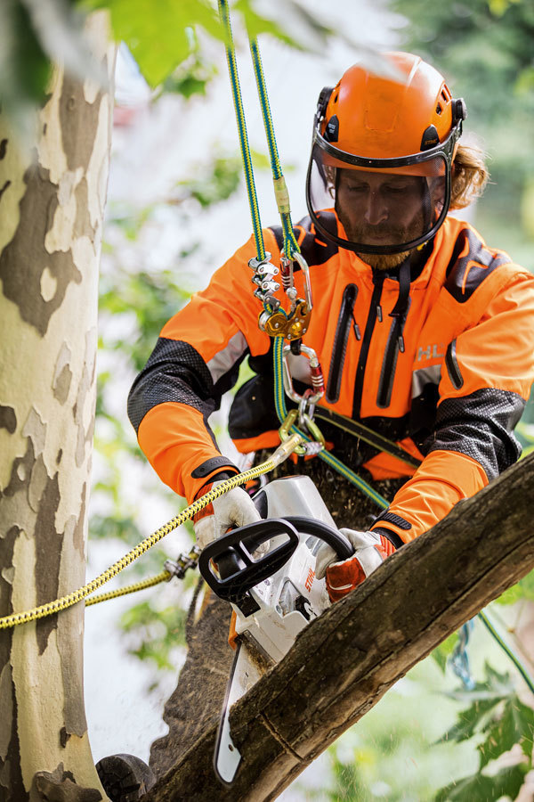 Motosega da Potatura a Batteria STIHL MSA 161 T in Offerta