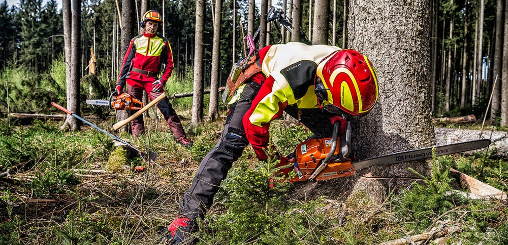 Casco PFANNER Protos Integral Forest senza sottogola Bianco e Nero Attrezzatura Tree Climbing Memigavi.it