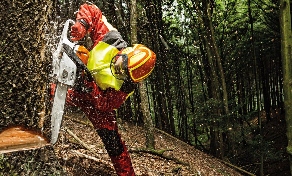 Casco PFANNER Protos Integral Forest senza sottogola Bianco e Grigio Scuro Abbigliamento protettivo PFANNER Memigavi.it