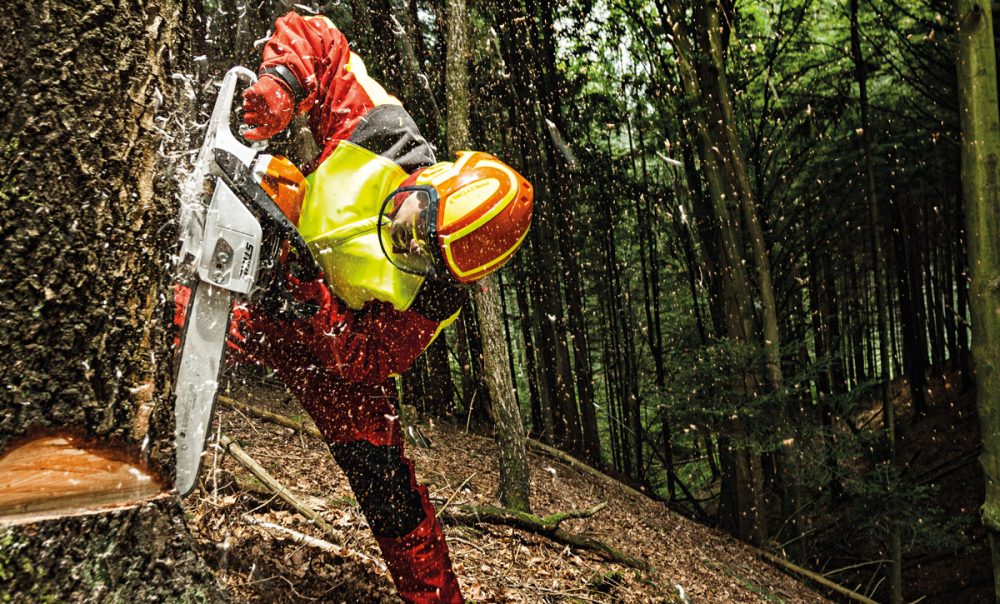 Casco PFANNER Protos Integral Forest senza sottogola Giallo e Blu Attrezzatura Tree Climbing Memigavi.it