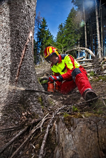 Casco PFANNER Protos Integral Forest senza sottogola Verde e Giallo 