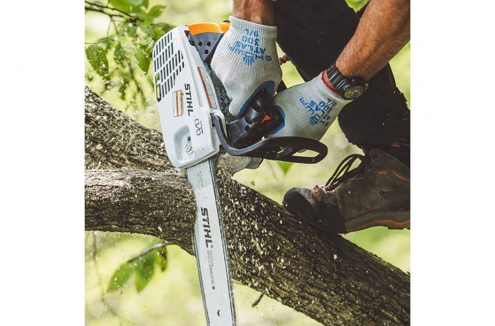 Motosega da potatura Stihl MS194T3/8 Benvenuta Primavera Memigavi.it