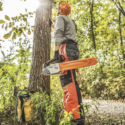 Motosega Da Potatura STIHL MS194T 