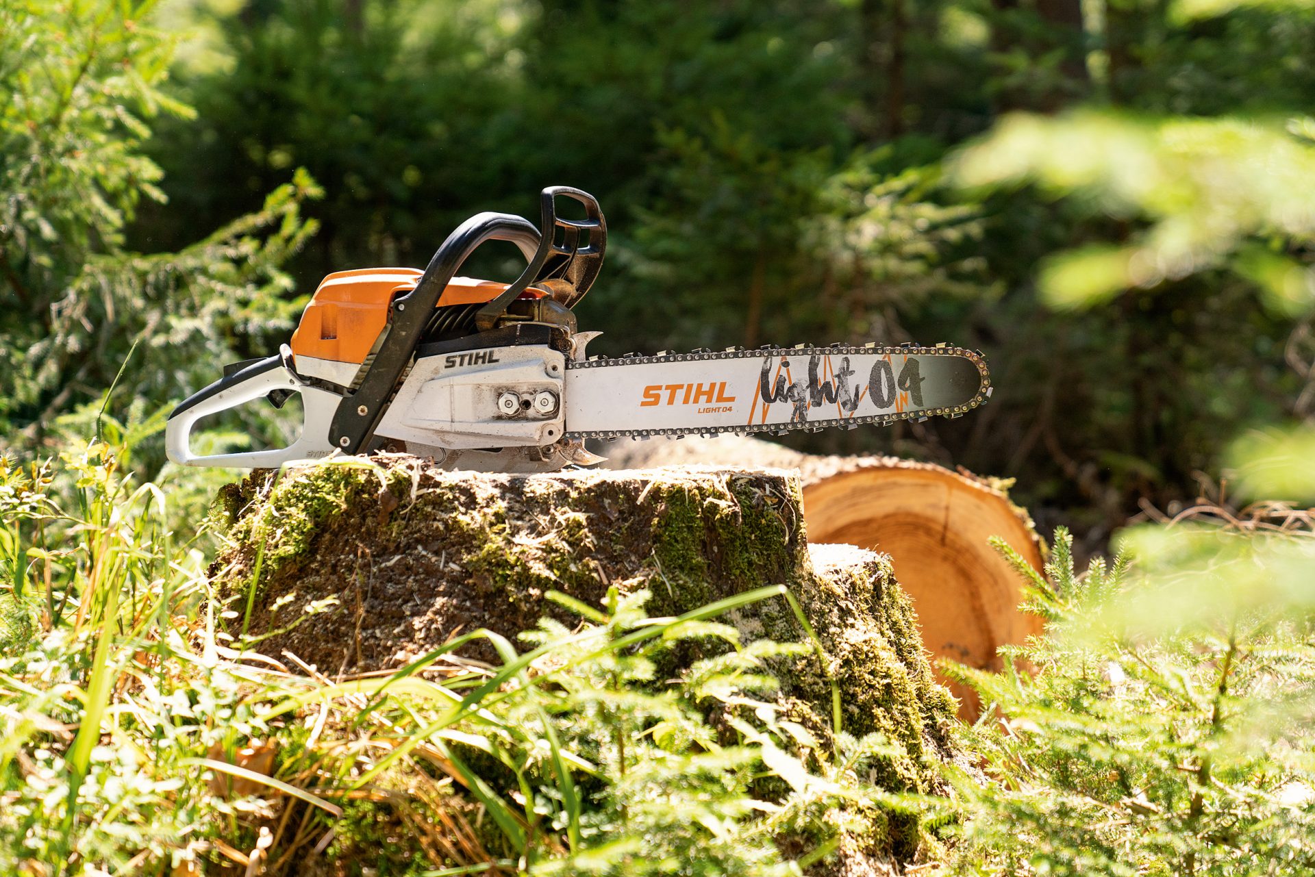 Stihl MS 261 CM Pro Memigavi.it