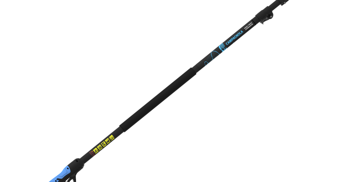 Asta prolunga telescopica per Worx Wg324 potatore - Ricondizionato