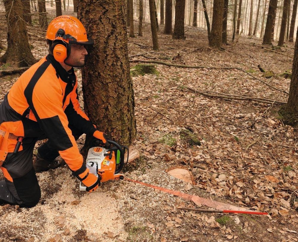 Supporti per Laser 2 in 1 STIHL Accessori per motosega Memigavi.it