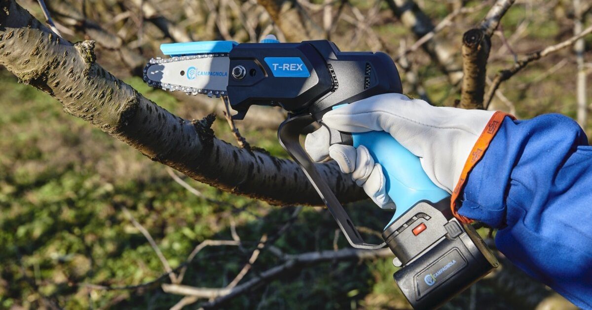 Batteria 4,2Ah Di Ricambio Forbice Stark L / T-Rex /T-Fox Camapgnola - Foto 4