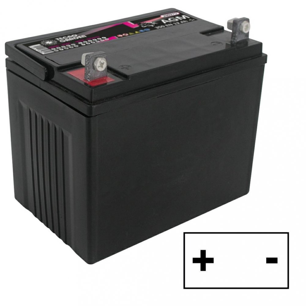 Batteria per trattorino 30 Ah, Polo Positivo a SX Accessori trattorino tagliaerba Memigavi.it