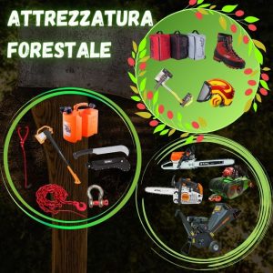 Motocarriola CARRY EUROSYSTEMS BRIGGS Promozione Attrezzatura Forestale Memigavi.it