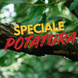 Tiranti per sollevamento 2 Tons 60 mm. mt.6 Accessori per motosega Memigavi.it Tiranti per sollevamento 2 Tons 60 mm. mt.6 Accessori per motosega Memigavi.it