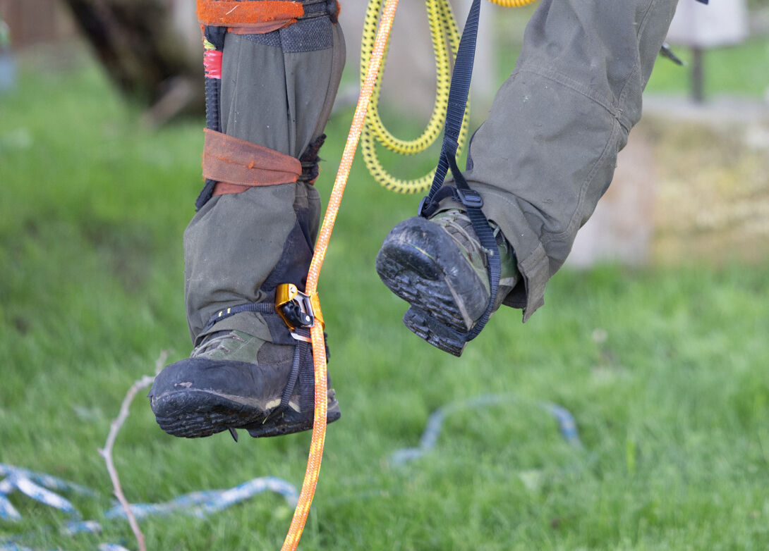 PANTIN® CLICK PETZL Attrezzatura Tree Climbing Memigavi.it PANTIN® CLICK PETZL Attrezzatura Tree Climbing Memigavi.it