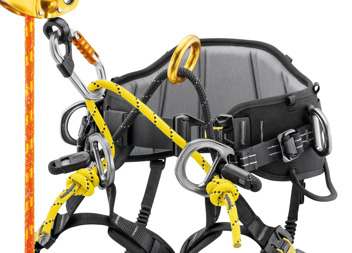 SEQUOIA® New 2026 PETZL Attrezzatura Tree Climbing Memigavi.it SEQUOIA® New 2026 PETZL Attrezzatura Tree Climbing Memigavi.it