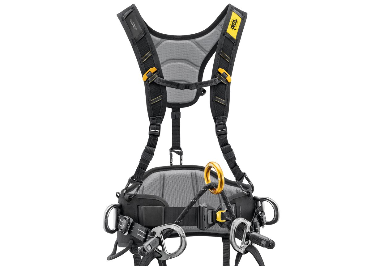 Bretelle SEQUOIA® PETZL Attrezzatura Tree Climbing Memigavi.it Bretelle SEQUOIA® PETZL Attrezzatura Tree Climbing Memigavi.it