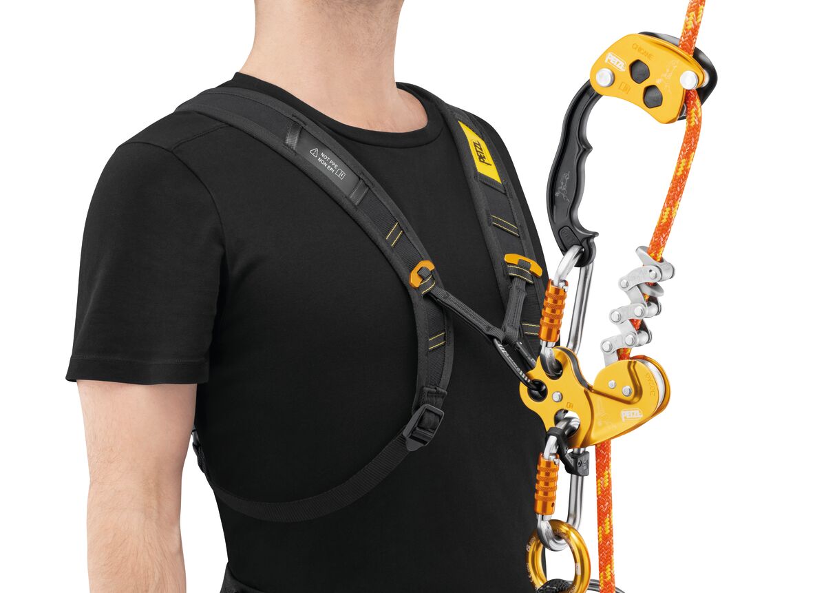 Bretelle SEQUOIA® PETZL Attrezzatura Tree Climbing Memigavi.it Bretelle SEQUOIA® PETZL Attrezzatura Tree Climbing Memigavi.it