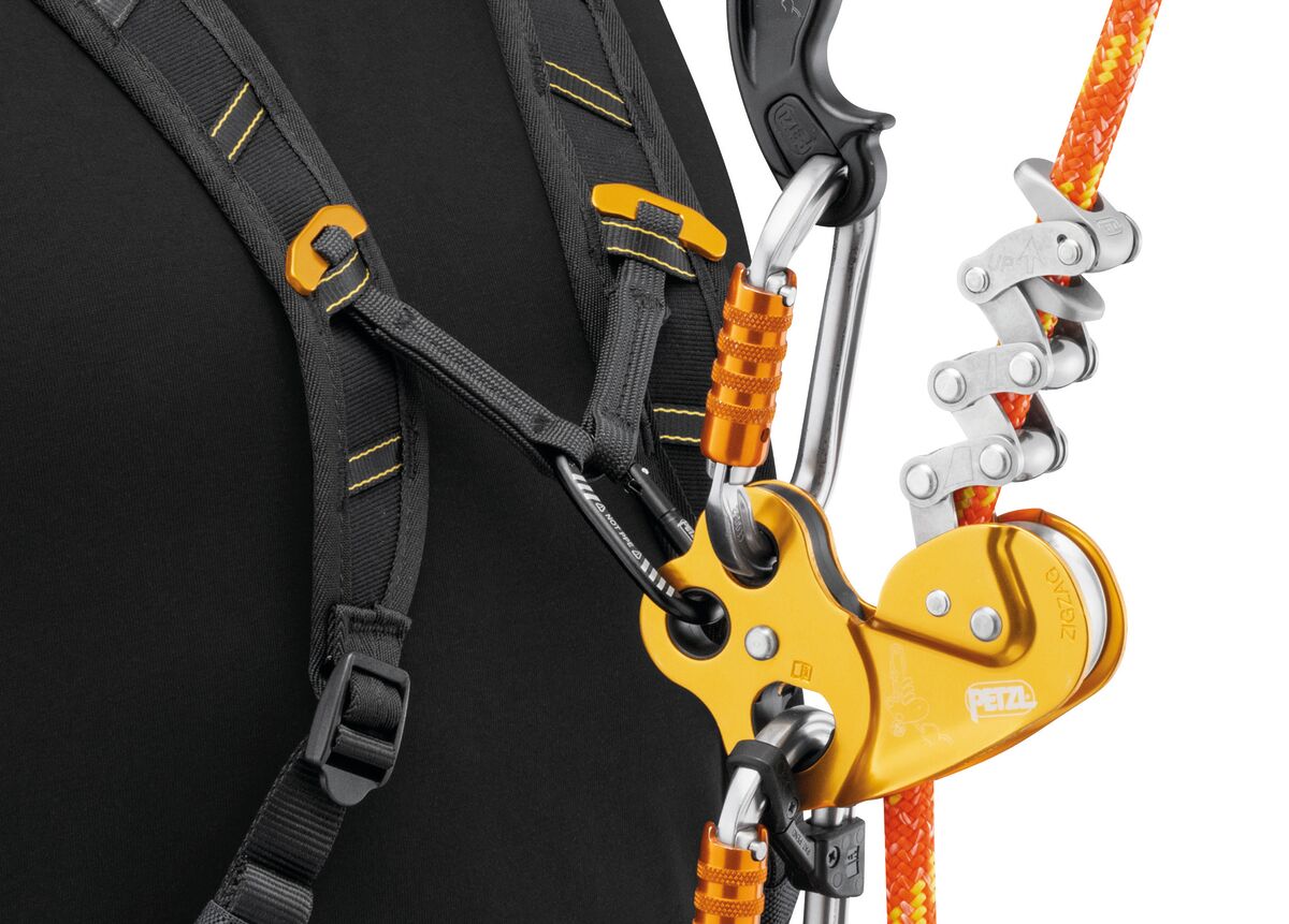 Bretelle SEQUOIA® PETZL Attrezzatura Tree Climbing Memigavi.it Bretelle SEQUOIA® PETZL Attrezzatura Tree Climbing Memigavi.it